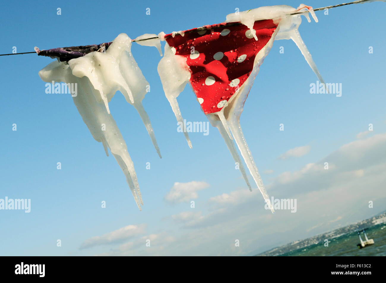 Coperti di ghiaccio bandiere durante il mese di febbraio 2012 Unione ondata di freddo in Nyon, sul Lago di Ginevra, nel Cantone di Vaud, Svizzera Foto Stock
