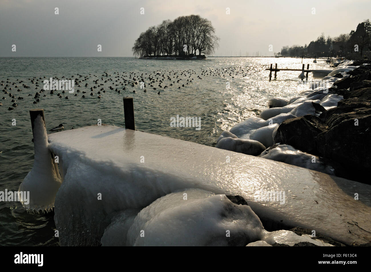 Icy pier e anatre durante il mese di febbraio 2012 Unione ondata di freddo in Rolle, sul Lago di Ginevra, nel Cantone di Vaud, Svizzera Foto Stock