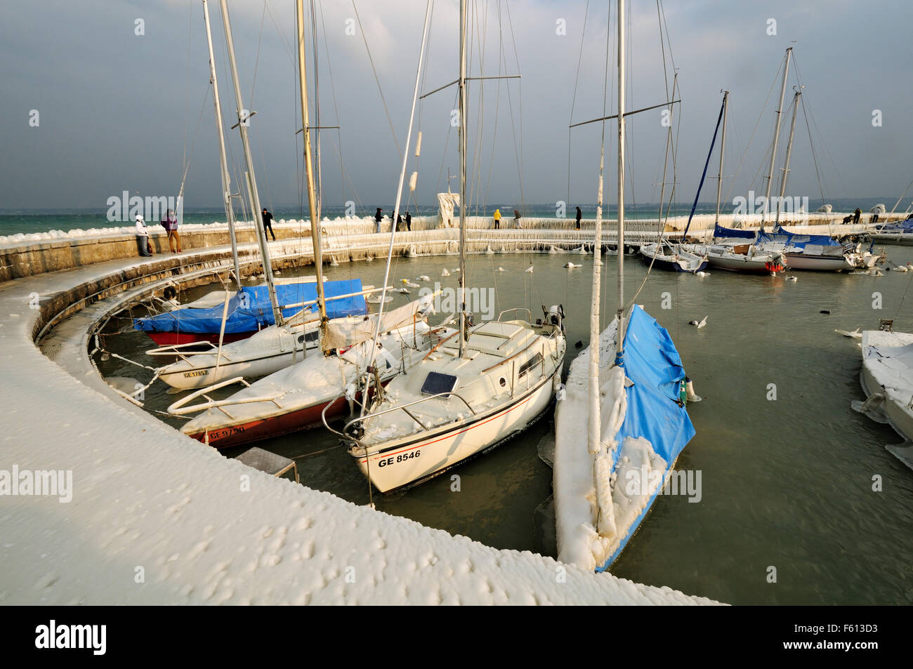 Barche intrappolate nel ghiaccio al porto Choiseul durante il mese di febbraio 2012 Unione ondata di freddo, Versoix, Cantone di Ginevra, Svizzera Foto Stock