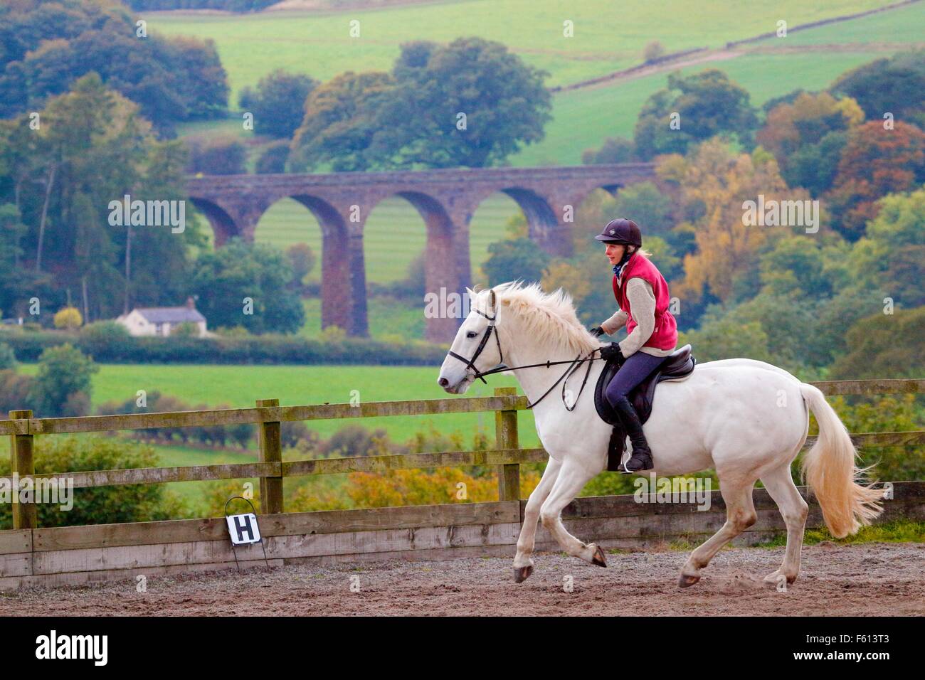 Donna rider praticando dressage nel paddock. In sottofondo asciutto Beck viadotto, Armathwaite, Eden Valley, Cumbria, Inghilterra, Regno Unito. Foto Stock