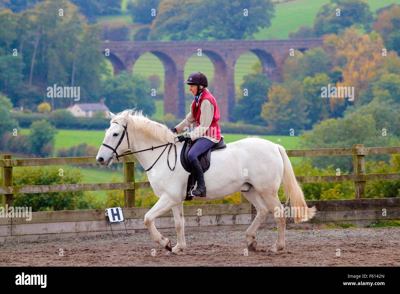 Donna rider praticando dressage nel paddock. In sottofondo asciutto Beck viadotto, Armathwaite, Eden Valley, Cumbria, Inghilterra, Regno Unito. Foto Stock