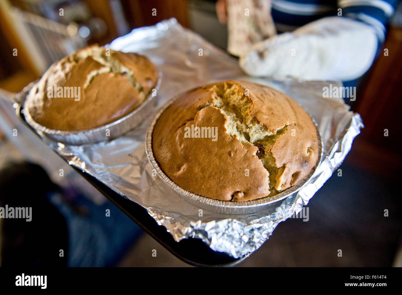 Come pure il suo premiato scones Patricia fa anche una linea nel Dorset torta di mele [ deliziosa !!!] di solito lei cuoce circa 6 al giorno ... Roger e Patricia bullone nella foto a casa e fuori con il loro stallo di scones , maglieria , confetture , marmellate , jellys e vege per una funzione su nick cunard sull orlo del progetto. pix e copyright nick cunard commissione jane sherwood / Sunday Express pix Foto Stock