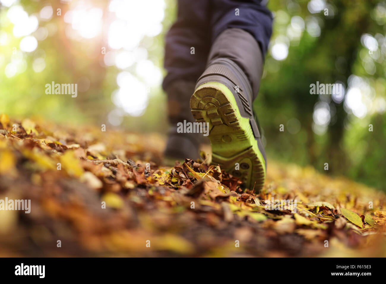 Camminare in autunno e inverno Foto Stock