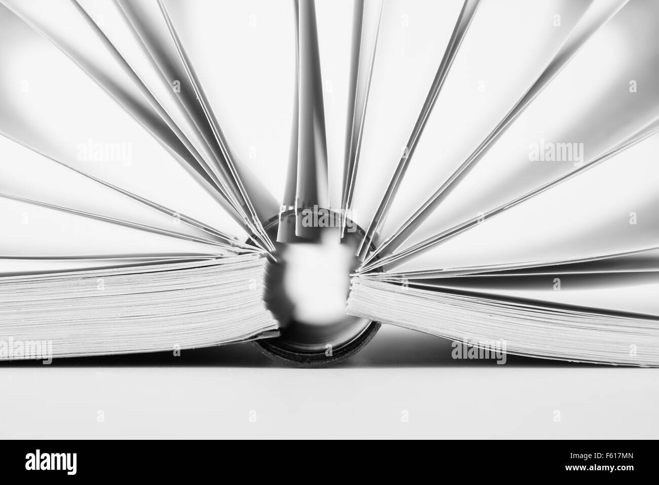 Close-up di open business catalogo con ring binder Foto Stock