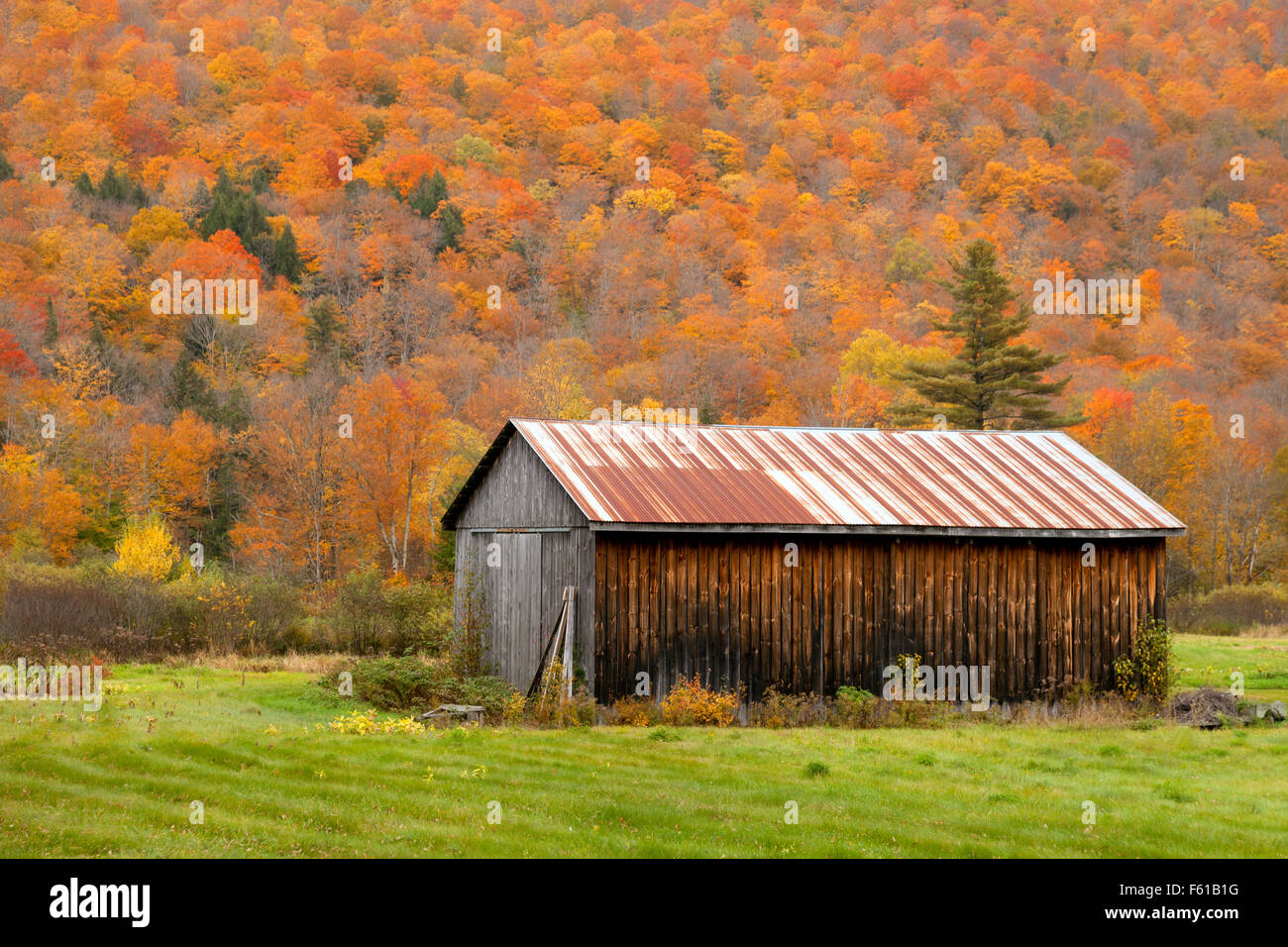 Fienile in legno su una fattoria del Vermont in autunno, Vermont VT, New England USA Foto Stock