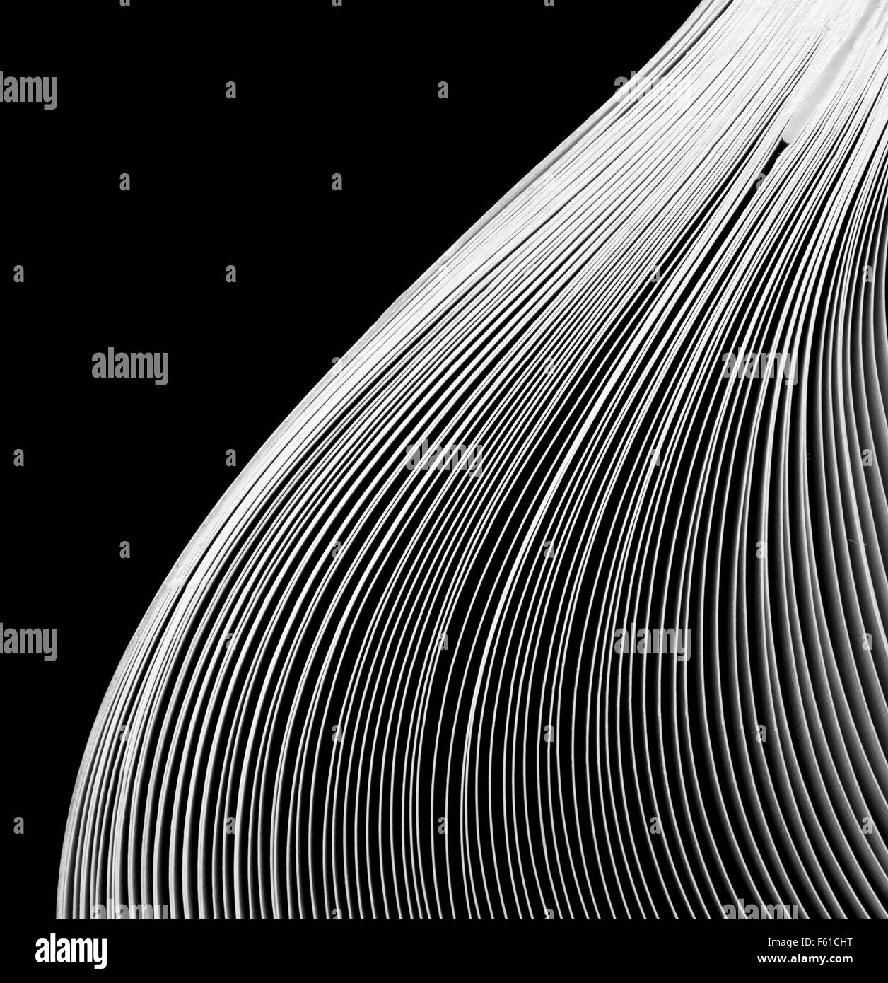 Vista Macro delle pagine di un libro Foto Stock