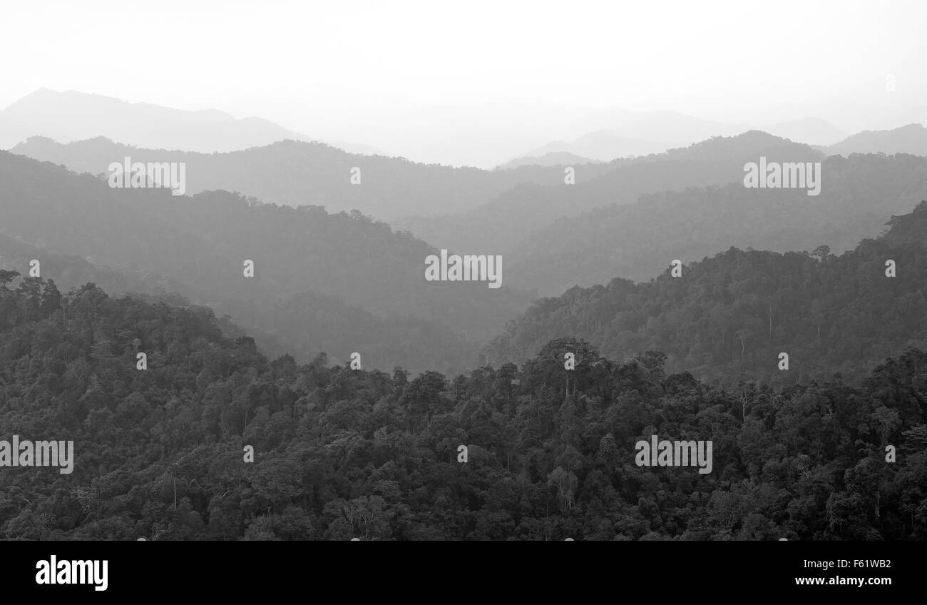 In bianco e nero di montagna nebbioso paesaggio delle colline, strati di montagna con la nebbia Foto Stock