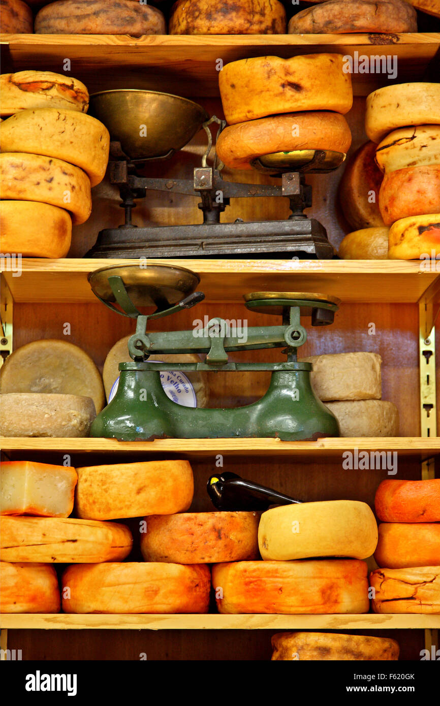 Incredibile Portoghese tradizionale di prodotti in un negozio di specialità gastronomiche a Porto, Portogallo Foto Stock