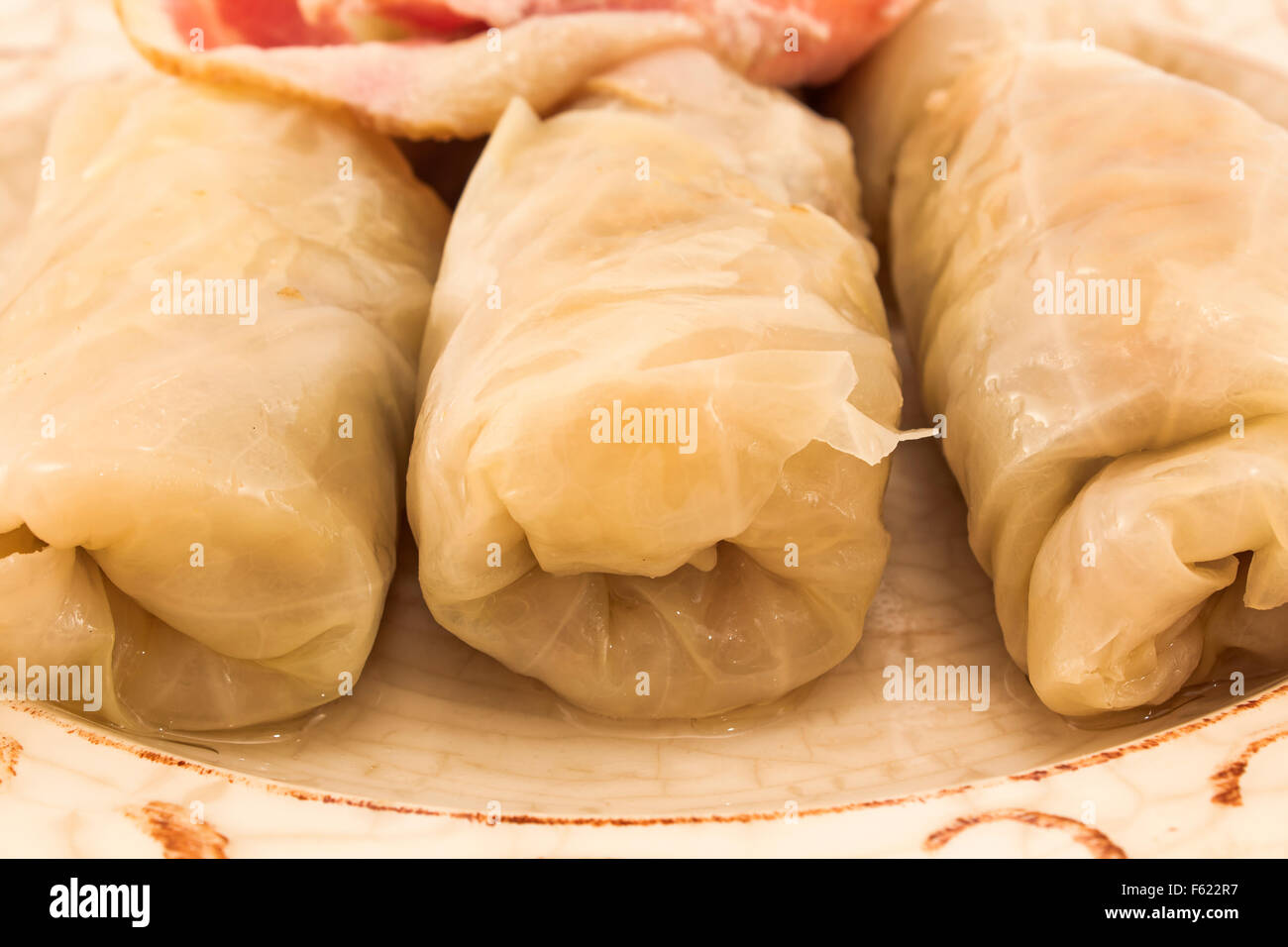 Involtini di cavolo con crauti su una piastra. Foto Stock