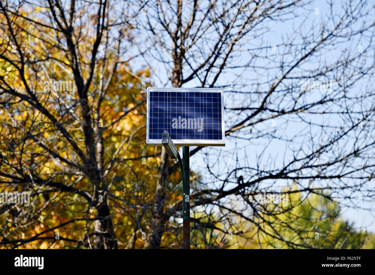 Solare lampada di strada in un parco nella stagione autunnale Foto Stock