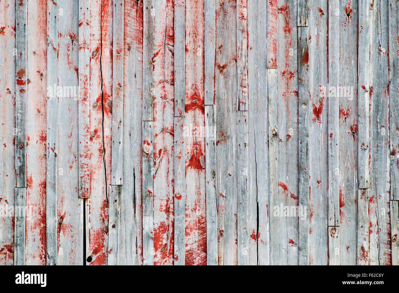 Close-up dello storico Thomas Murphy fienile schierata; Moulton Homestead (c 1910); Mormone fila distretto storico; Grand Teton Nat'l. Pk Foto Stock