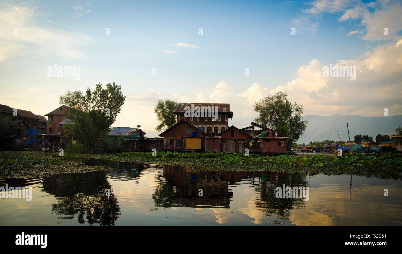 Il Lago Dal, Srinagar, Jammu e Kashmir India Foto Stock