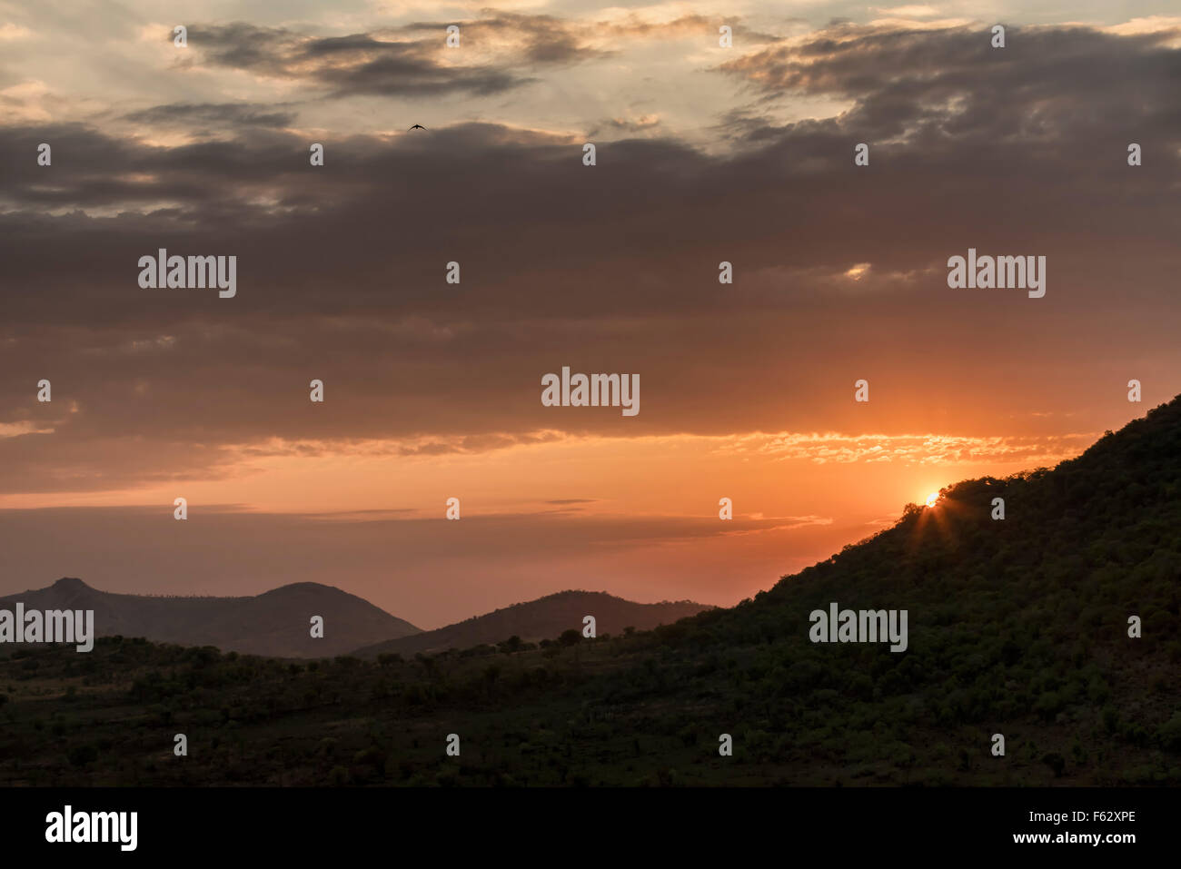 Alba africana Foto Stock