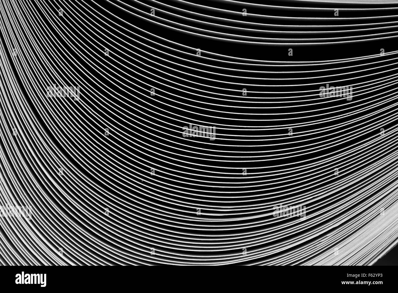 Vista Macro delle pagine di un libro Foto Stock