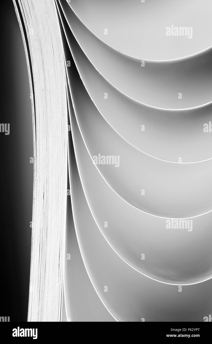 Vista Macro delle pagine di un libro Foto Stock