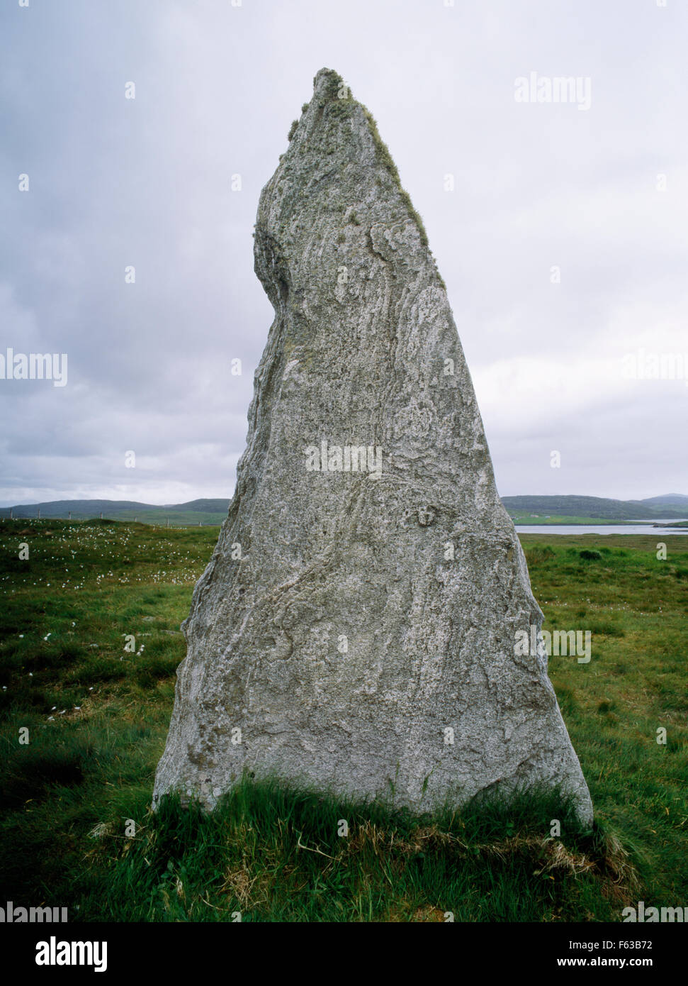 Cerca SW alla Stone 3 di Cnoc Ceann un' Gharraidh (Callanish II) stone circle, isola di Lewis: cinque pietre verticale forma una NNO-SSE ellisse. Foto Stock