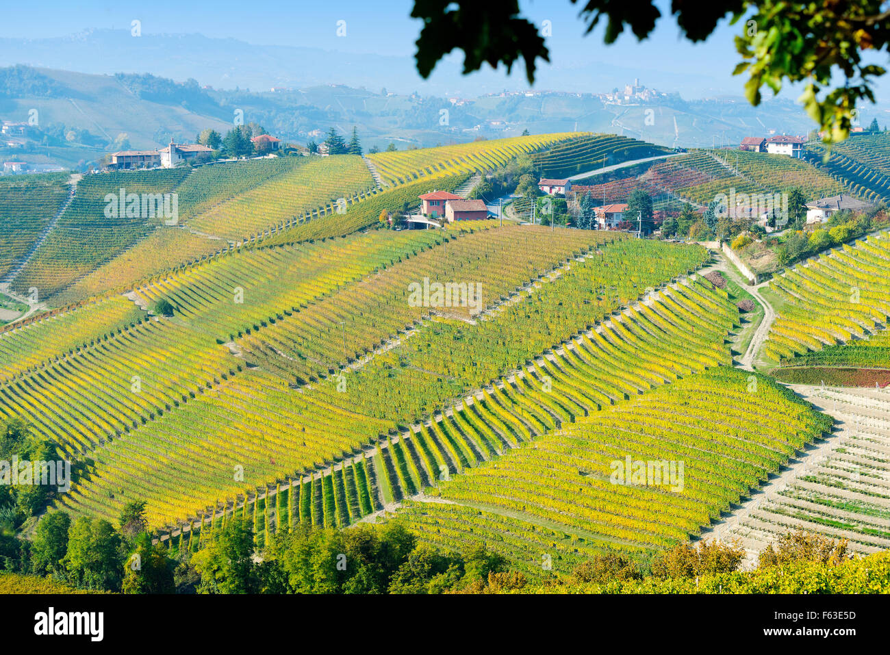 Il Piemonte, Italia, Langhe-Roero e Monferrato nella lista del Patrimonio Mondiale dell'UNESCO: il paesaggio di vigneti colorati. Foto Stock