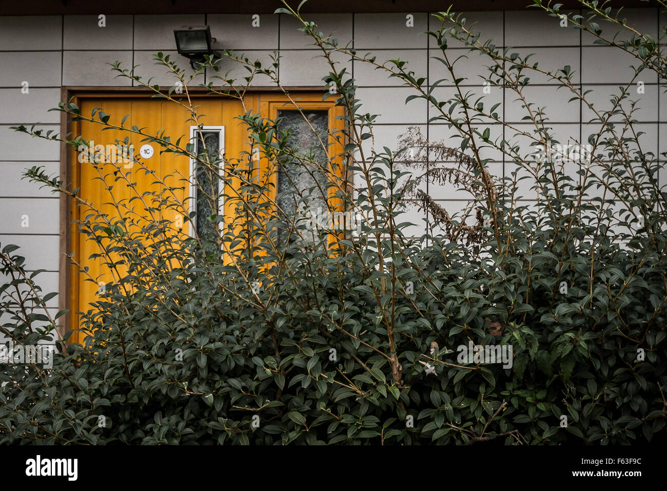 FILE: PIX Peckford posto, Brixton, Londra, Regno Unito. 25 Nov, 2013. L'entrata principale per la casa al centro della presunta schiavitù caso in luogo Peckford, Brixton dove Aravindan Balakrishnan del presunto estrema ala sinistra culto maoista vissuto. Credito: Guy Corbishley/Alamy Live News Foto Stock
