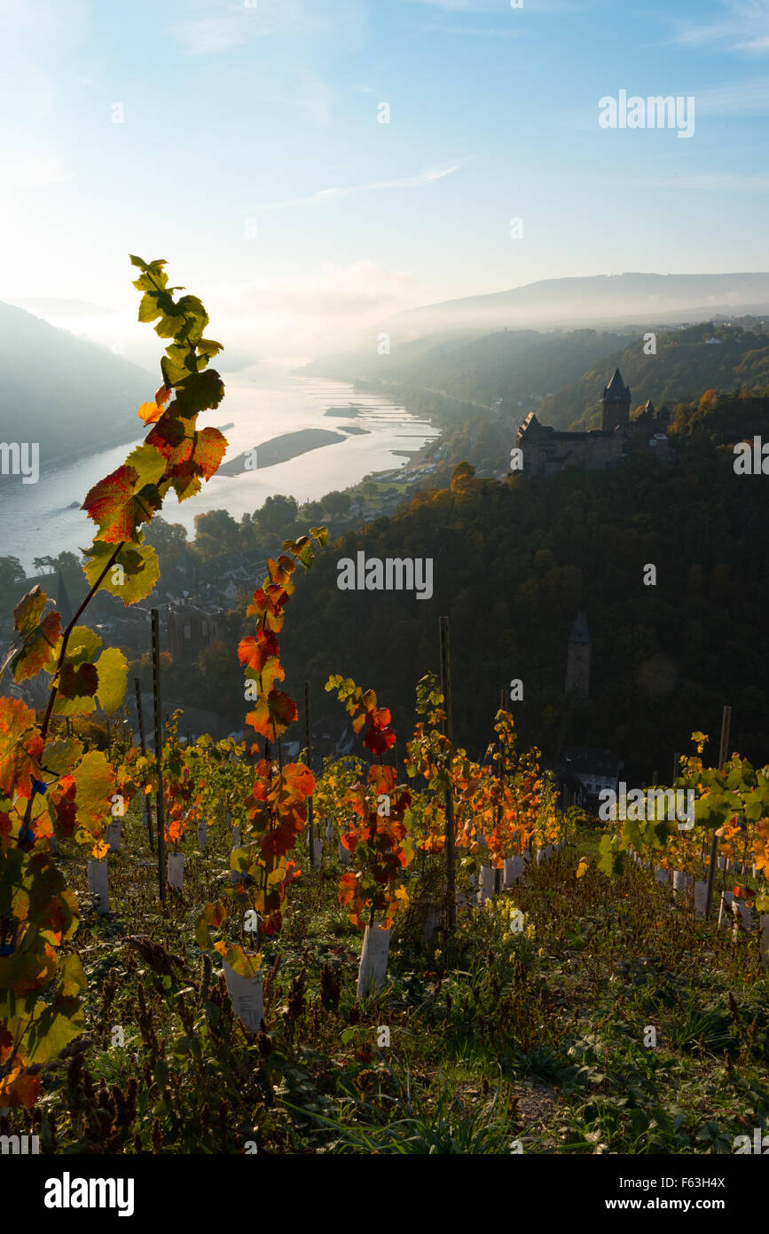 Valle del Reno in autunno, Bacharach, Burg Castello Stahleck, vigneti, valle del Reno Foto Stock