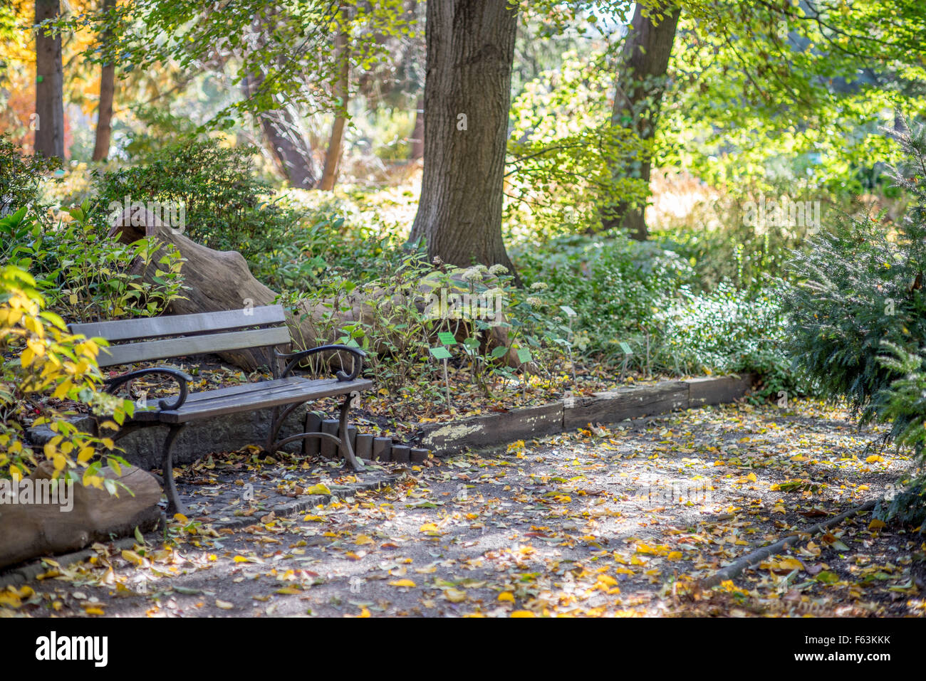 Giardini Botanici in autunno colori Wroclaw Foto Stock