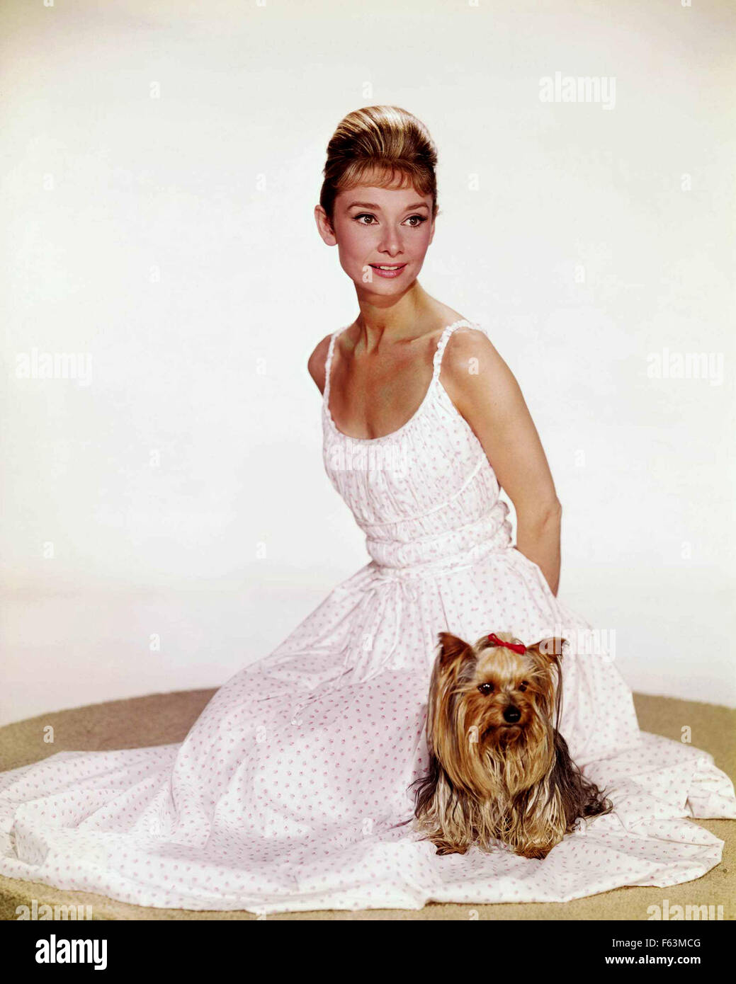 AUDREY HEPBURN (1929-1993) British attrice cinematografica circa 1964 con il suo Yorkshire Terrier signor famoso Foto Stock