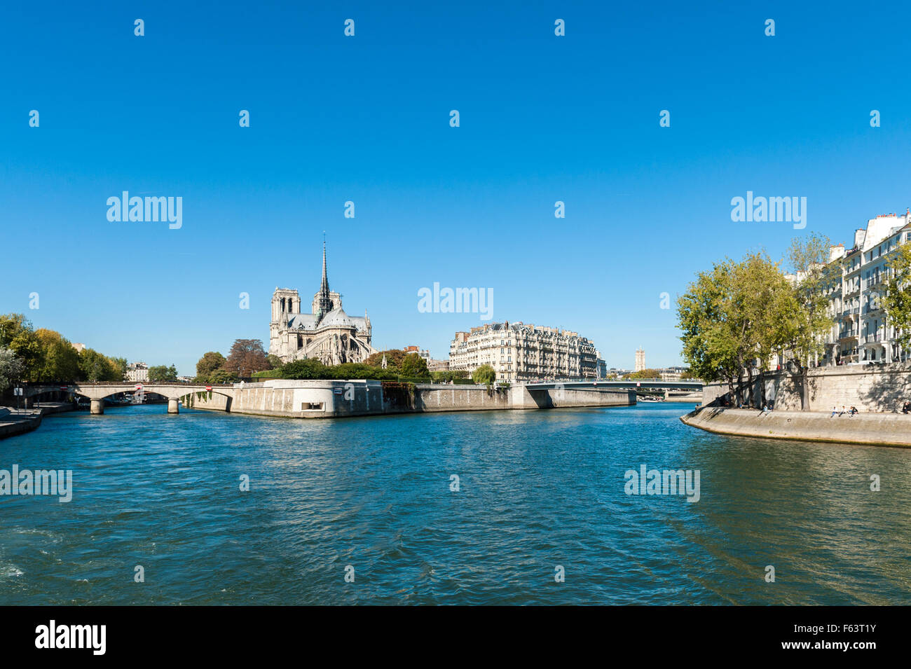 Francia, Parigi, la cattedrale di Notre Dame visto dal fiume Senna Foto Stock