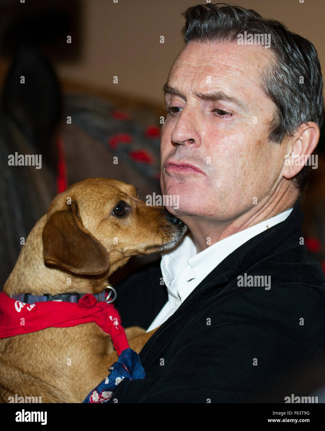 Attore britannico Rupert Everett pone con un cane in apertura del tradizionale Natale eventi in Gut Aiderbichl sancturay animale in Henndorf, Austria, 10 novembre 2015. Il 5 dicembre 2015 a 8:15pm un programma 'avvento auf Aiderbichl" sarà teletrasmesso su emittente televisiva ORF 2 e 'tierisch,tierisch' (lt: bestiale, bestiale) sarà l'aria pn il 23 e 30 dicembre 2015 a 7:50pm, segnalato da eventi di Natale. Presso il santuario degli animali sono prese in coloro che hanno avuto una storia triste. Foto: Christina Sabrowsky/dpa Foto Stock