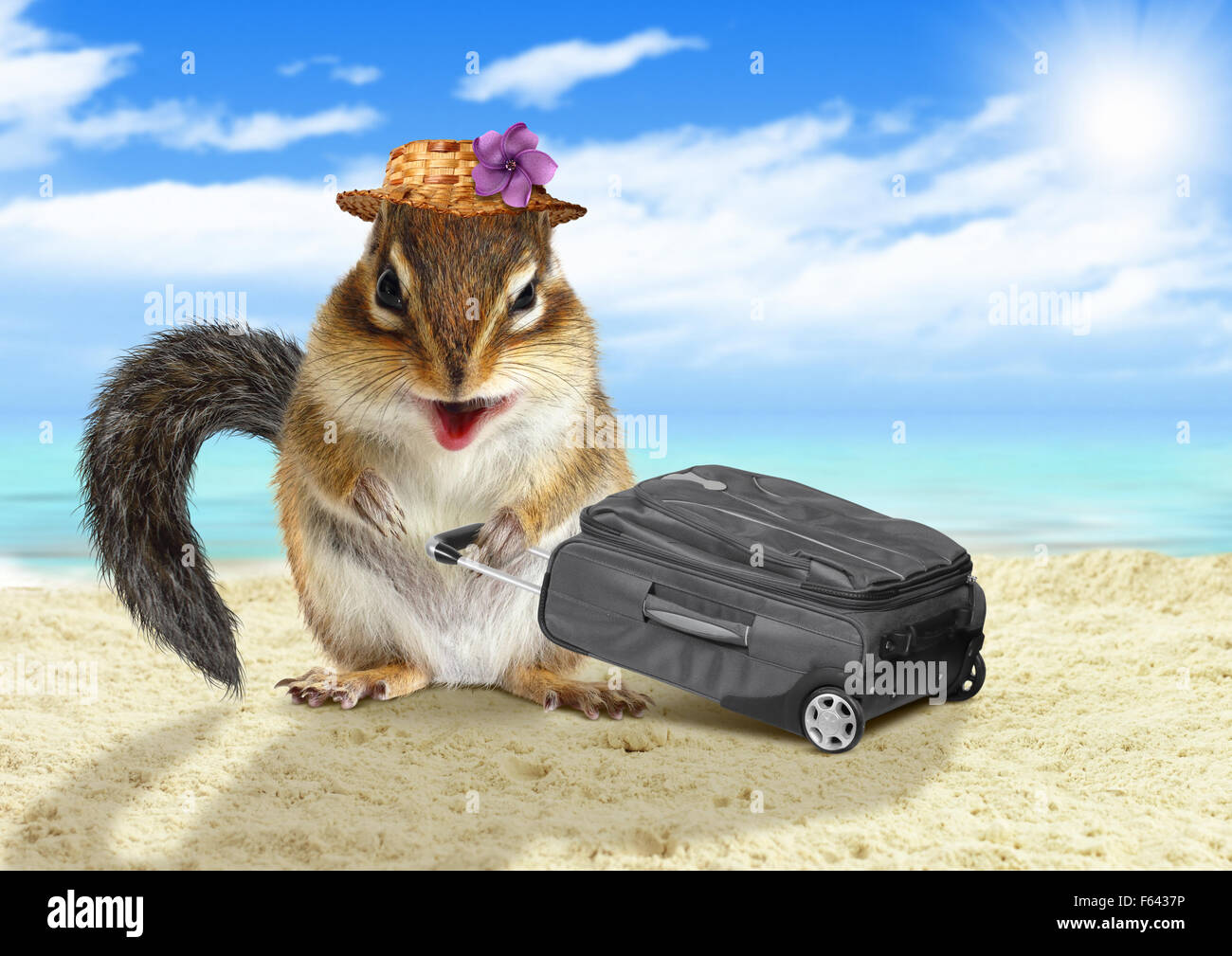 Funny vacationist, animale scoiattolo con la valigia in spiaggia Foto Stock