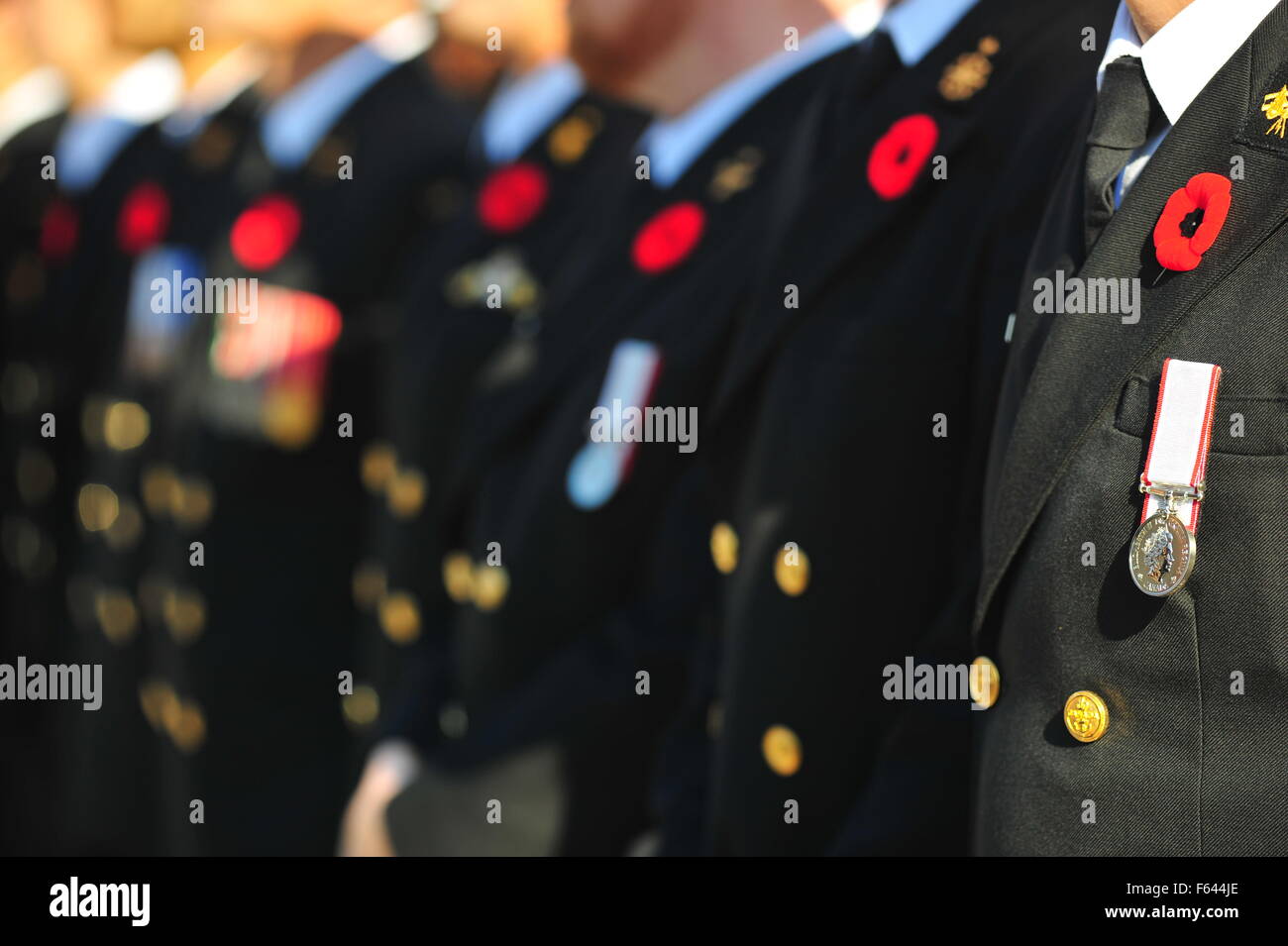 London, Ontario, Canada. 11 Novembre, 2015. Il passato e il presente dei membri della Canadian servizi armati e i membri del pubblico a raccogliere il cenotafio in London, Ontario di complementare Giorno del Ricordo. Su questo pubblico su tutto il territorio nazionale per le vacanze europee tenere cerimonie a pagare rispetto ai caduti. Credito: Jonny bianco/Alamy Live News Foto Stock