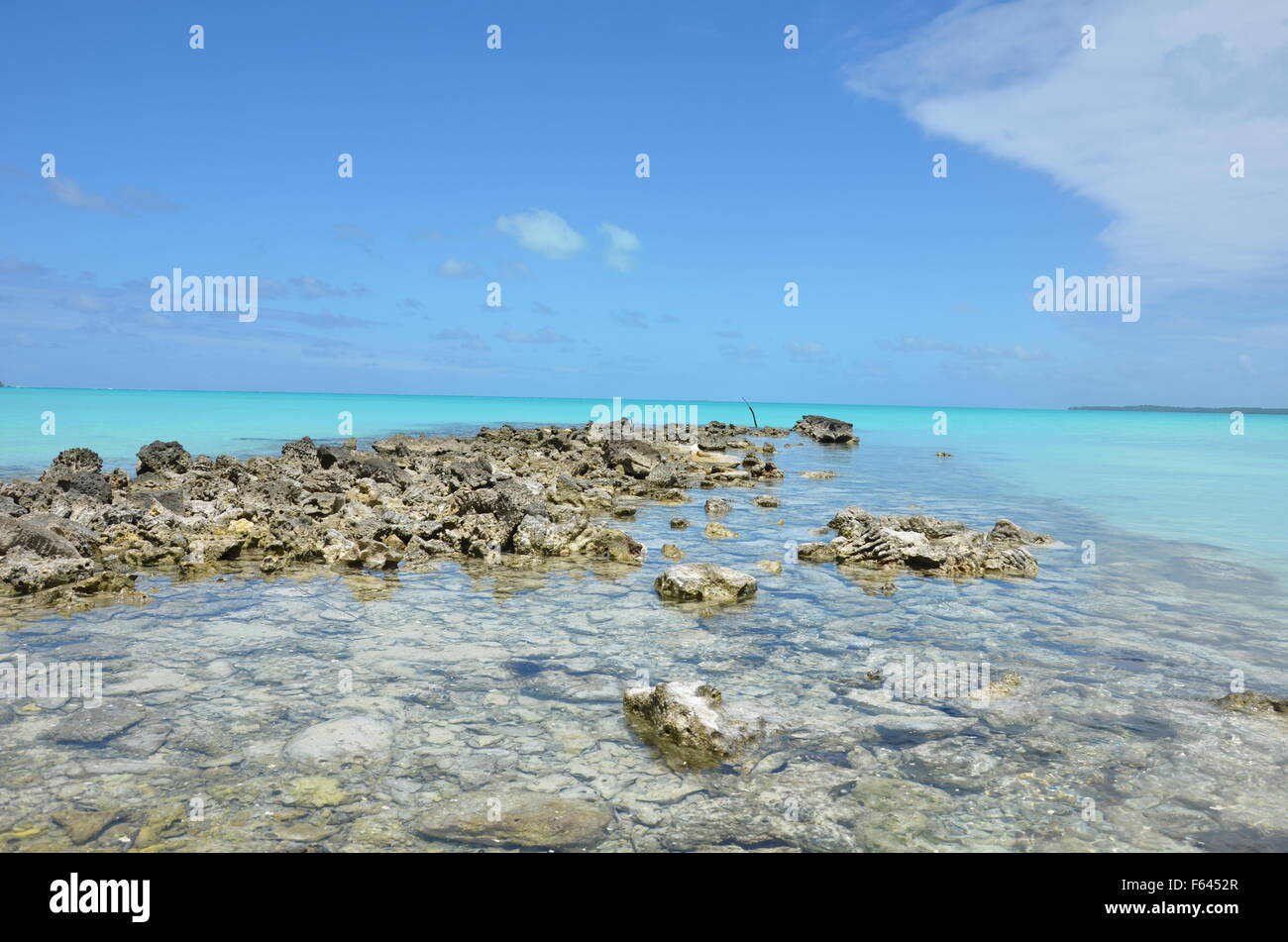 La scena del mare, le Isole Cook, il Pacifico Foto Stock