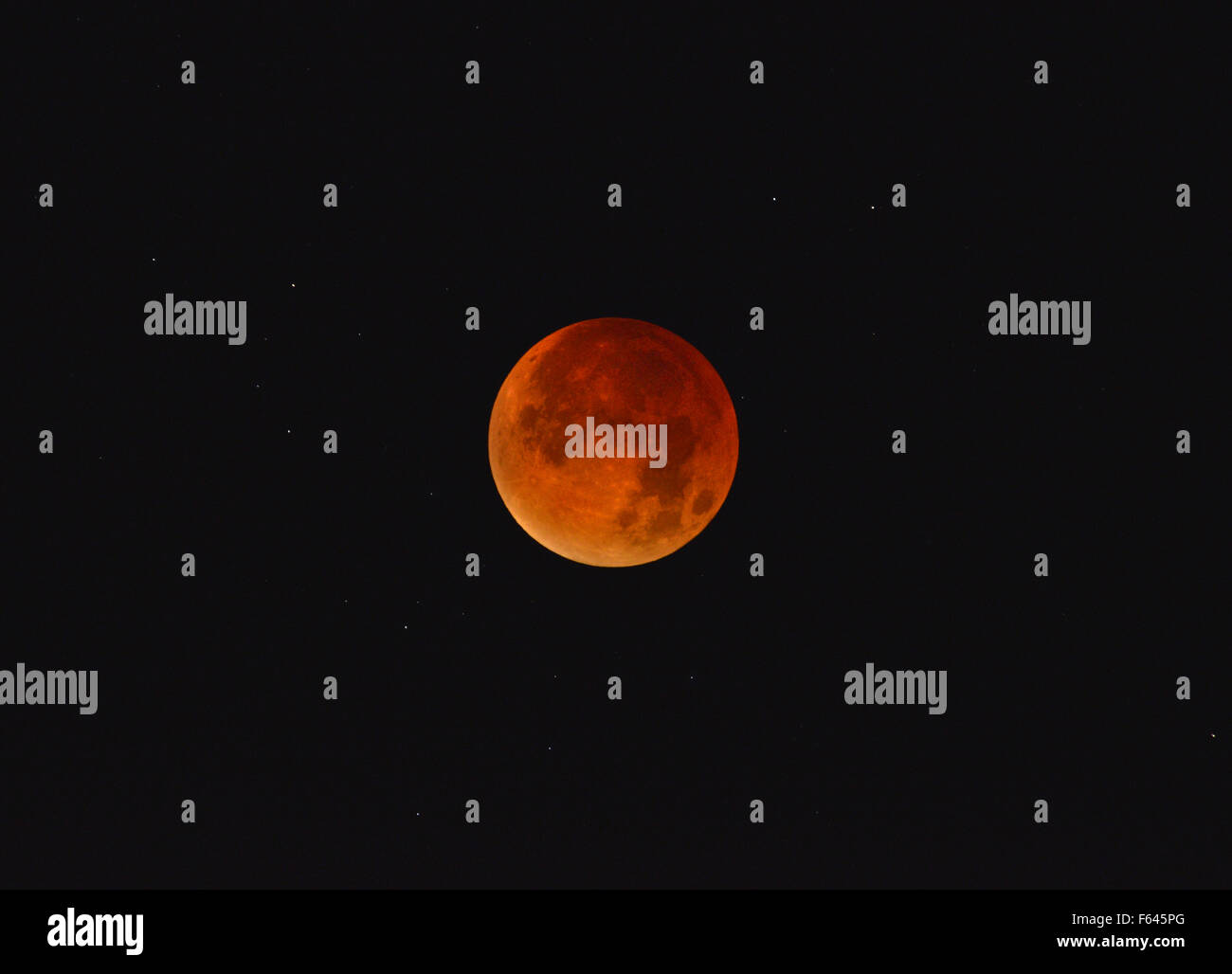 Lunar Eclipse/Luna Rossa Foto Stock