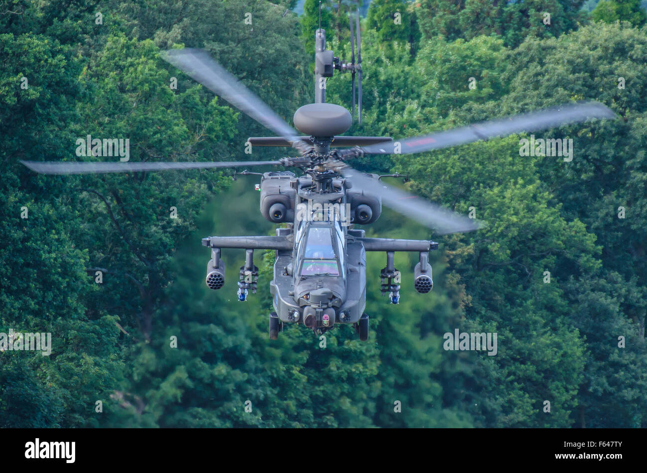 AgustaWestland Apache AH-64D Apache Longbow attacco di armi elicottero dell'esercito britannico, volare sopra gli alberi. Basso. Killer carro armato militare Foto Stock