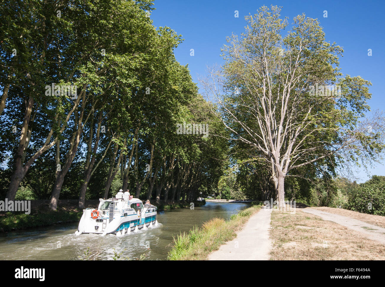 Sud,Francia,costa,holiday,Canal,du,Midi,imbarcazioni,aereo,alberi,tree,barca,cruiser,le boat, Foto Stock