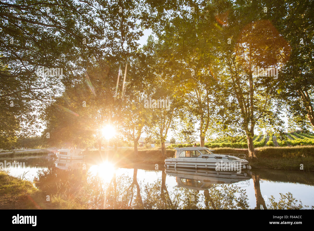 Piano alberi lungo le rive del Canal de la Robine illuminato di sera sun glow sud,Francia,costa,holiday,l'estate.il ramo del Canal du Midi. Foto Stock