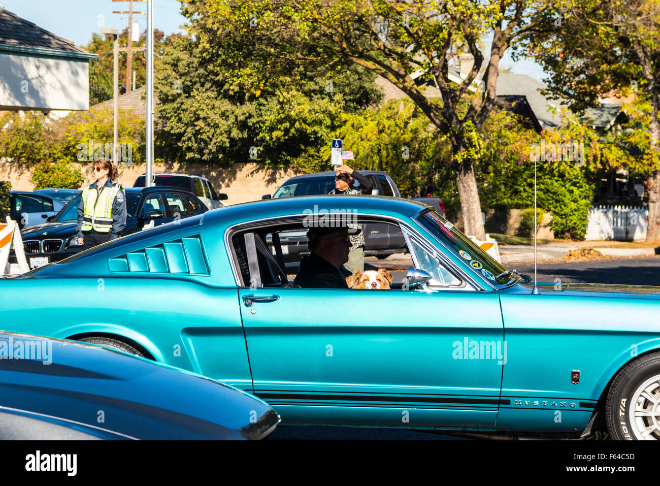 Modesto, California, USA. Xi Nov, 2015. Un cane a cavallo lungo in una Mustang dal club locale nel modesto California veterani parata del giorno: Credito John Crowe/Alamy Live News Foto Stock