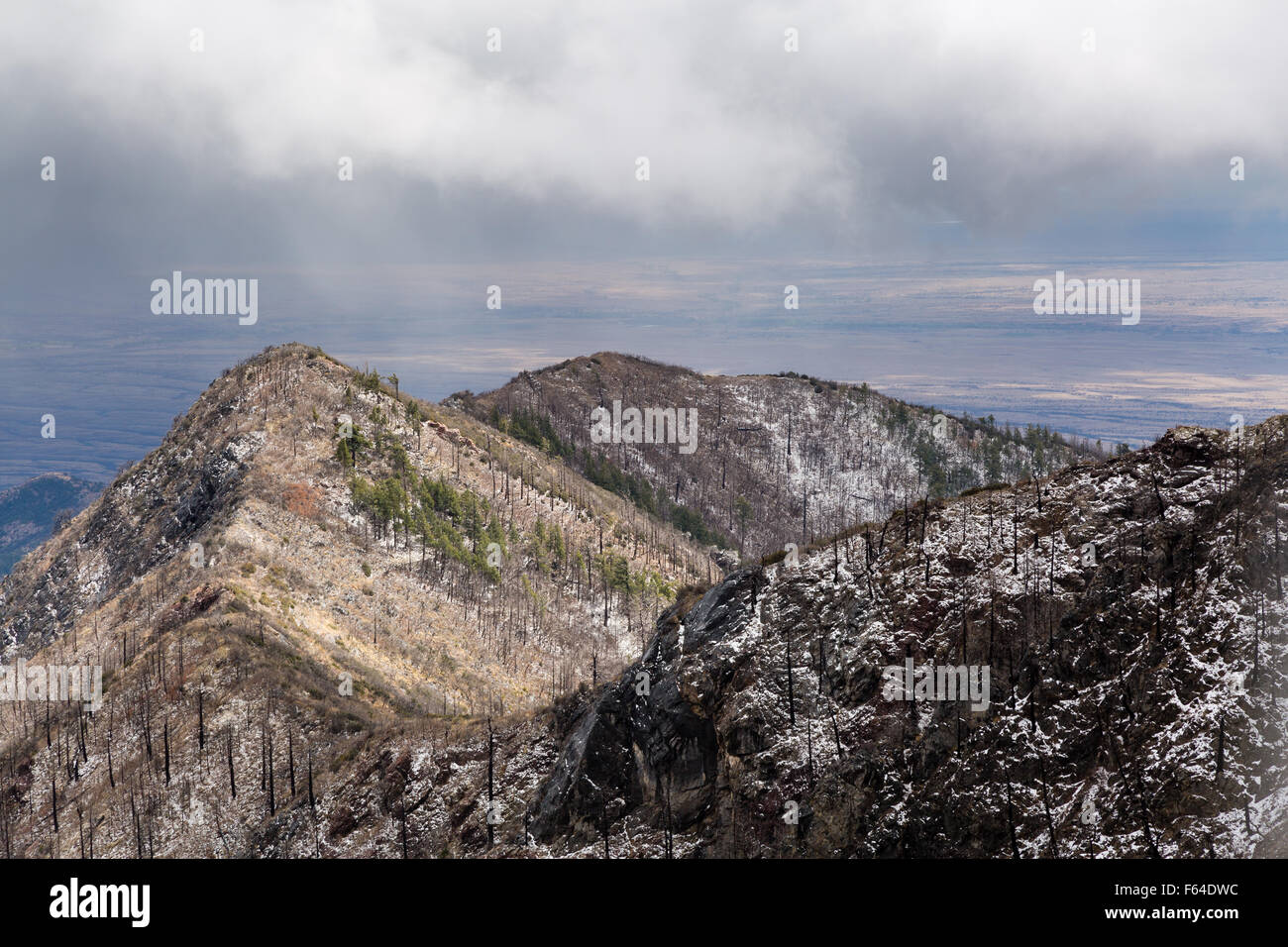 Pioggia e grandine che cadono al di sopra le montagne Huachuca, Miller Peak Wilderness, Arizona Foto Stock