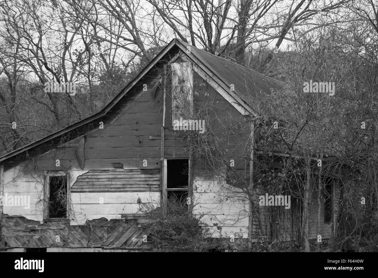 Fienile in disuso vicino a forcella Leipers Tennessee in bianco e nero e mentre Foto Stock