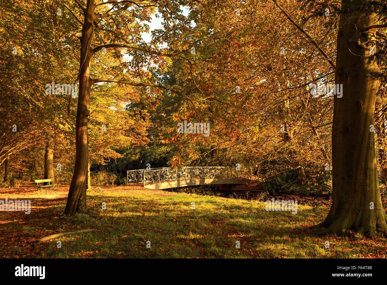 Panca e vista sul ponte in autunno splendore, nel parco del castello di Duivenvoorde, Voorschoten, South Holland, Paesi Bassi. Foto Stock