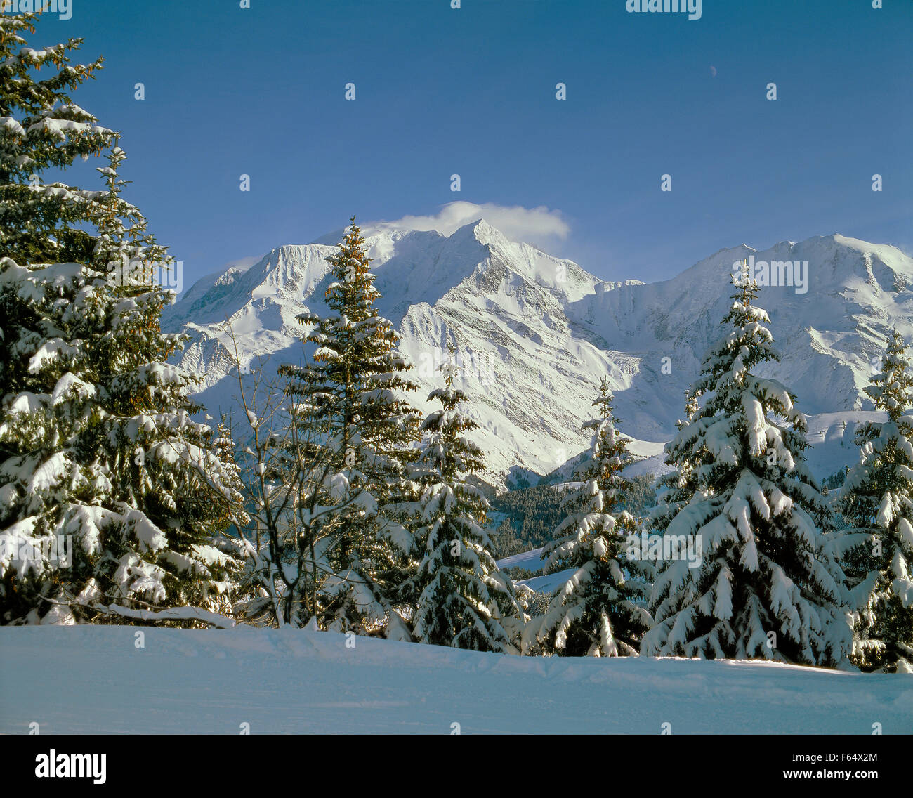 Massiccio del Monte Bianco in inverno dal Bettex, Saint Gervais, Haute Savoie, Francia. Foto Stock