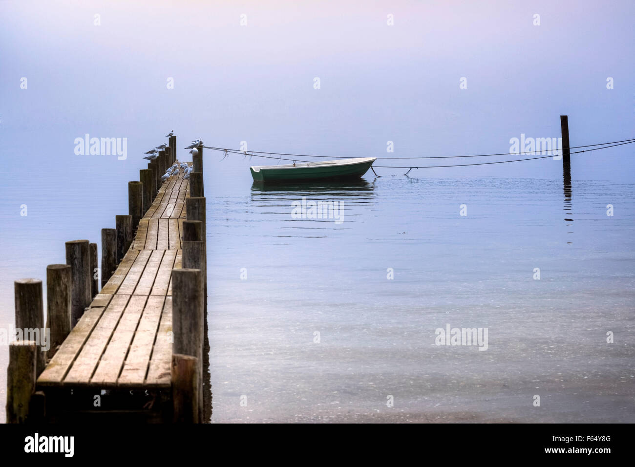 Un vecchio pontile in legno con i gabbiani e una barca a remi Foto Stock