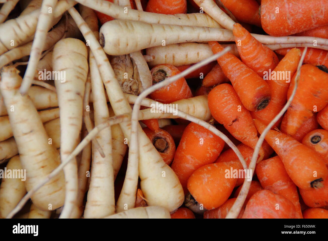 Pastinaca organico e carote in vendita su un mercato in Inghilterra, Regno Unito Foto Stock