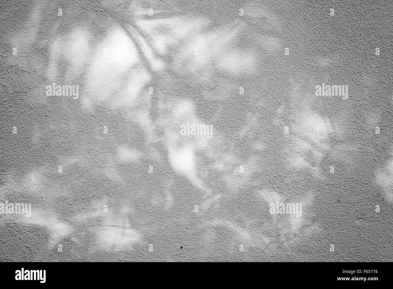 Bianco parete in calcestruzzo con strato di intonaco e ombre floreali pattern, foto di sfondo texture Foto Stock