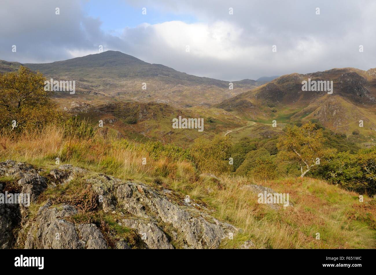 Autunno scena di dinas Emrys collina preistorica fort verso Yr Aran Beddgelert Snowdonia National Park Galles Cymru REGNO UNITO GB Foto Stock