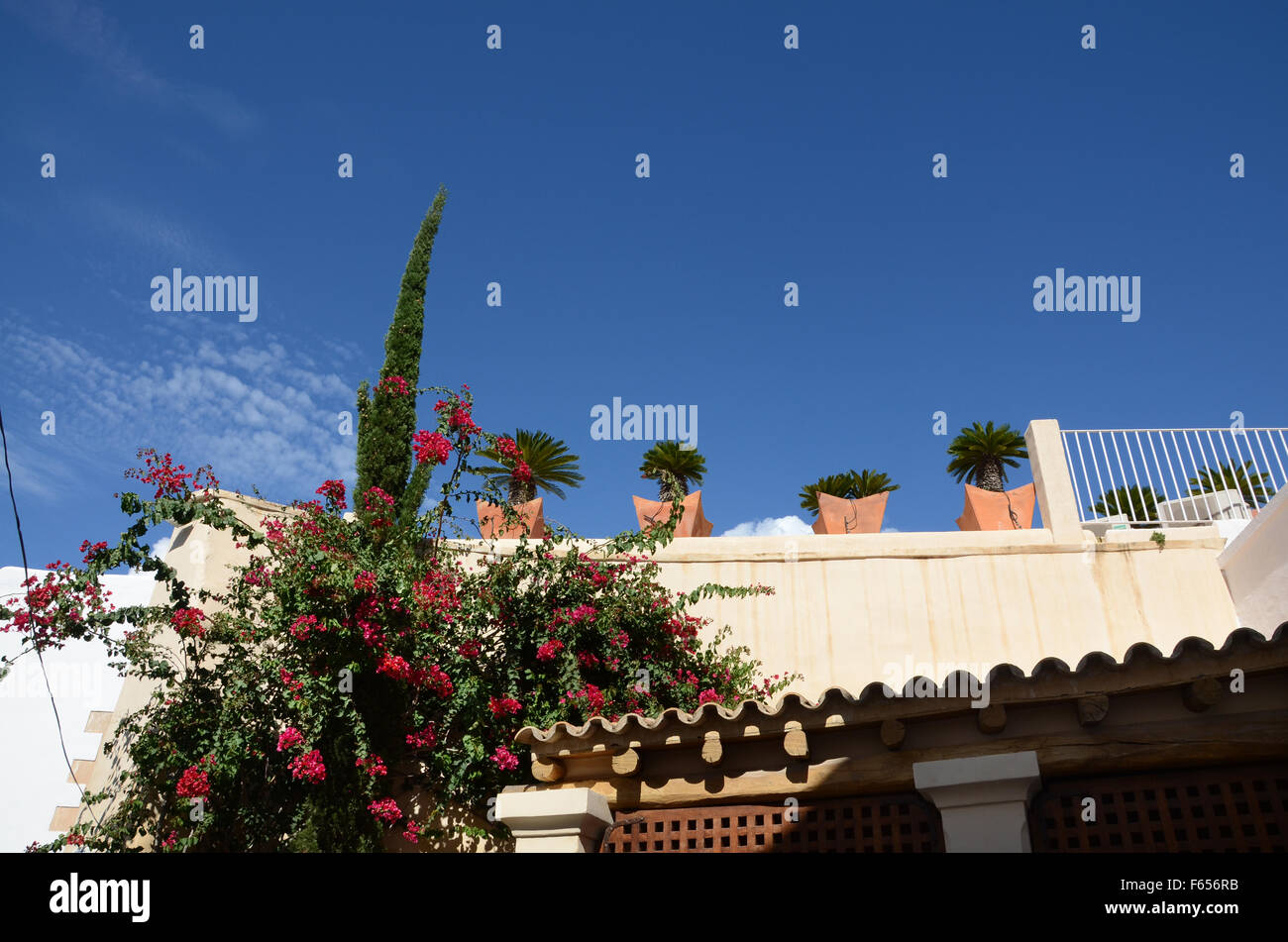 Città vecchia Dalt Vila, Ibiza spagna Foto Stock