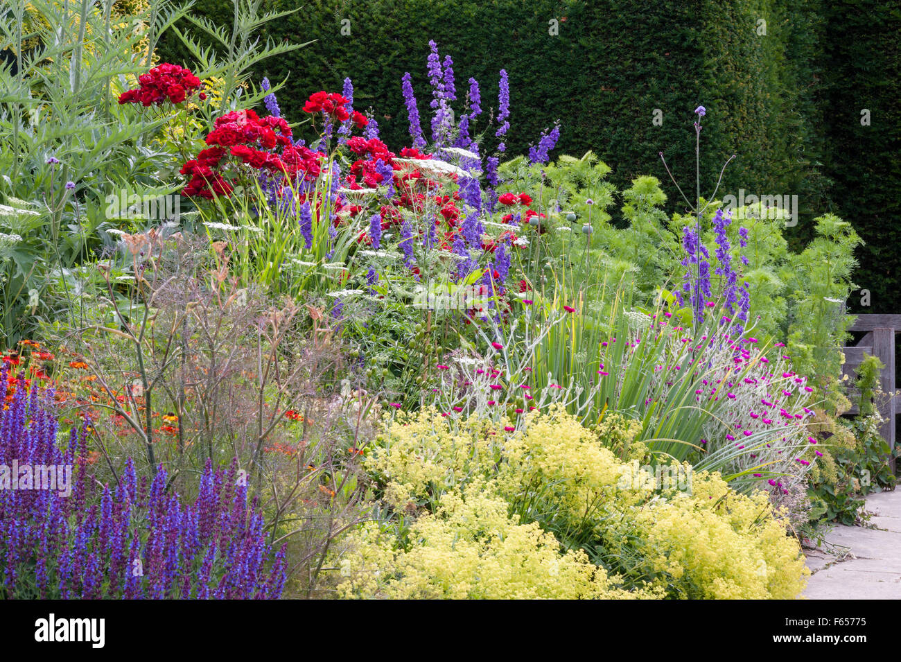 Great Dixter, East Sussex, Regno Unito - il giardino creato e reso famoso da Christopher Lloyd. Lungo il confine in estate (luglio) Foto Stock