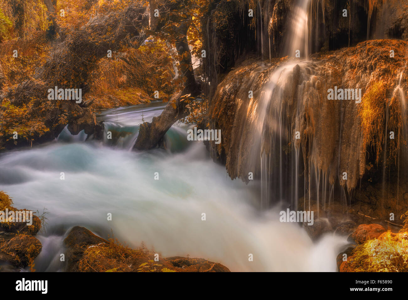 Bella cascata nella foresta, paesaggio autunnale Foto Stock