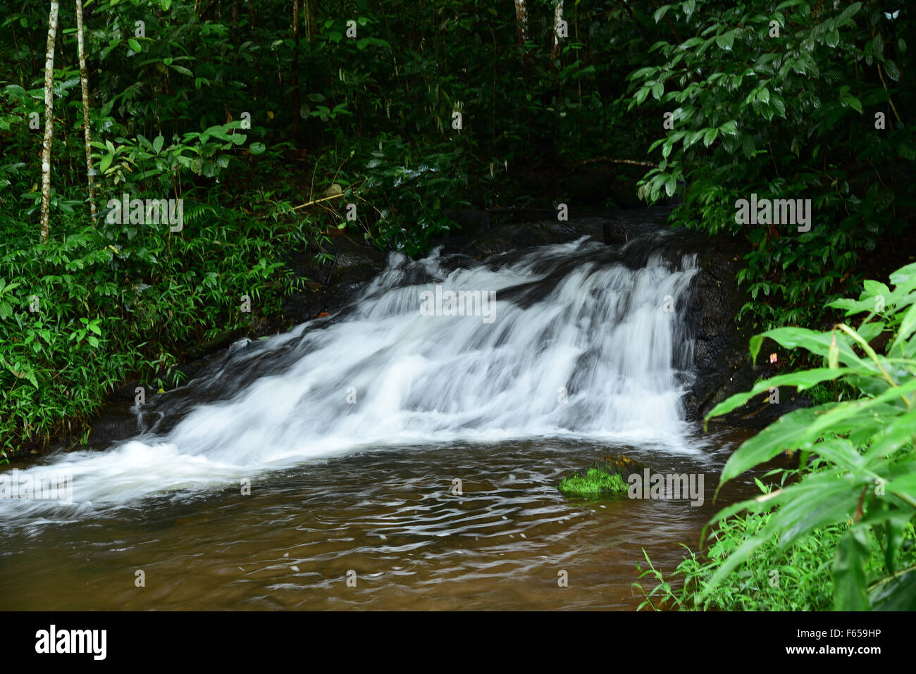 Cascata lo svuotamento nel pool ancora,la bellezza e la bellezza della natura, offuscata motion, sfocate, cascata, colore, colore immagine, colore, columb Foto Stock