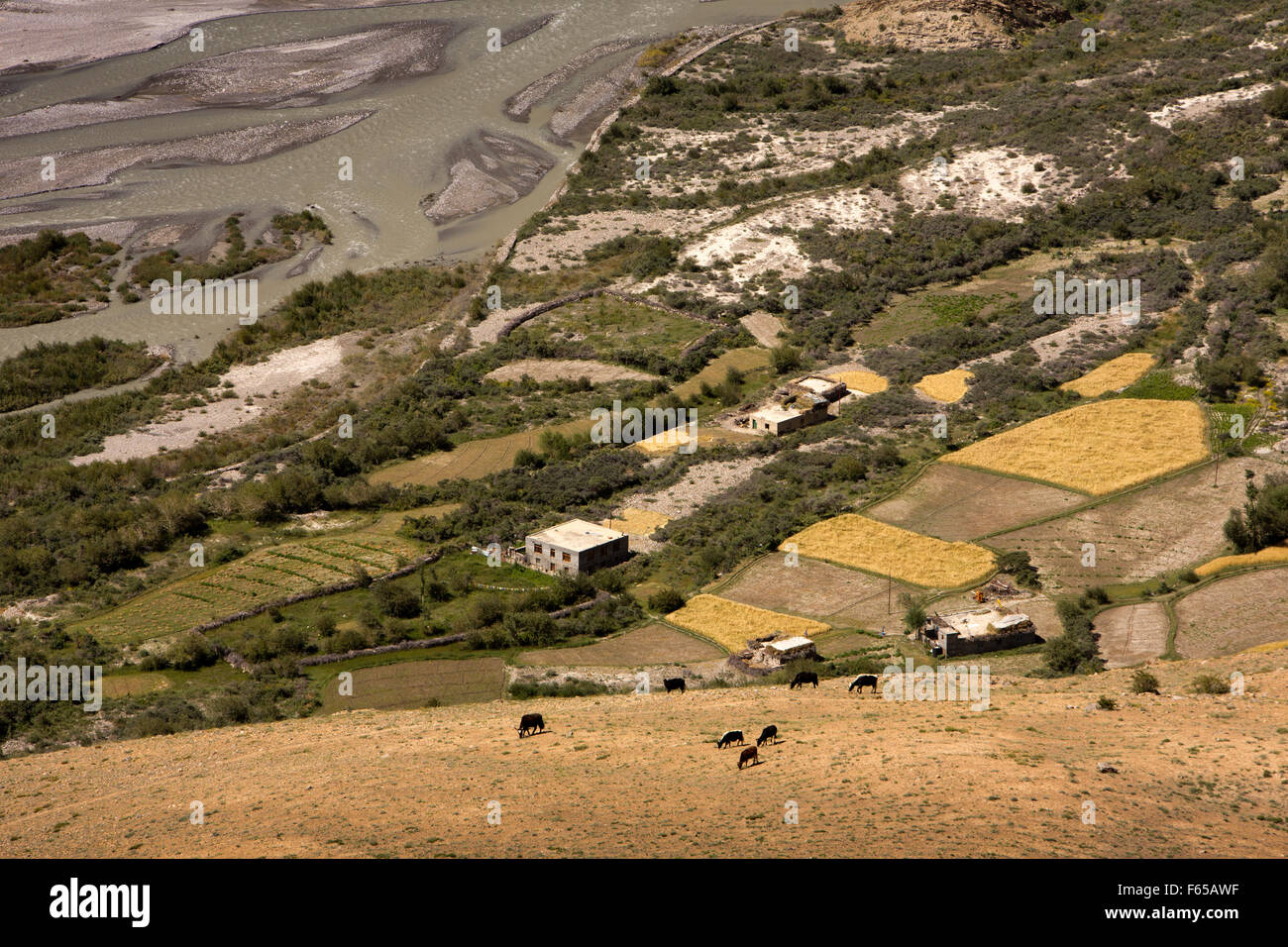 India, Himachal Pradesh, Spiti valley, Dhankhar, vista in elevazione del terreno coltivato sulle rive del fiume Spiti Foto Stock