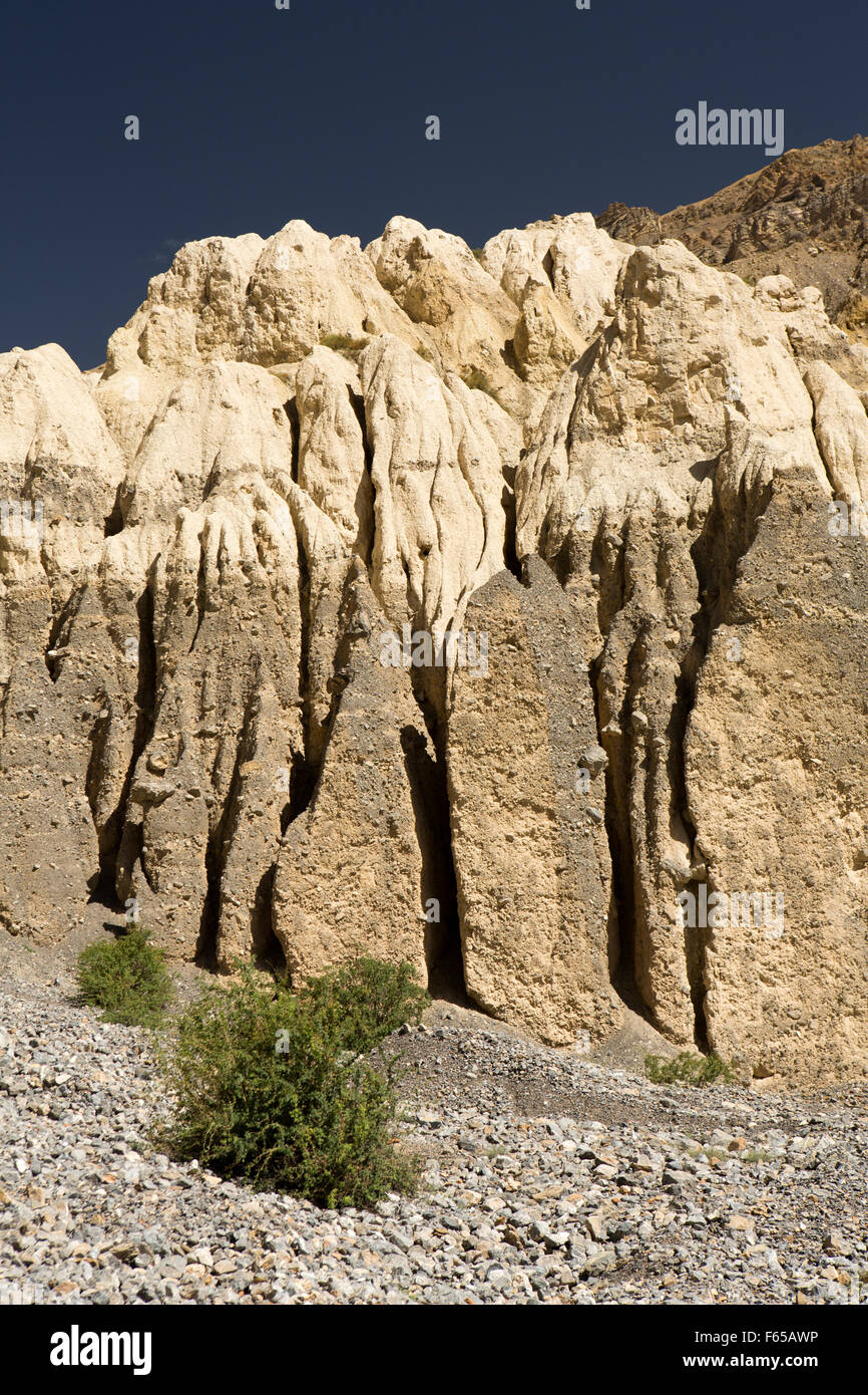 India, Himachal Pradesh, Spiti valley, Lara, erosione dei depositi alluvionali dal vecchio letto del fiume scolpite in pinnacoli Foto Stock