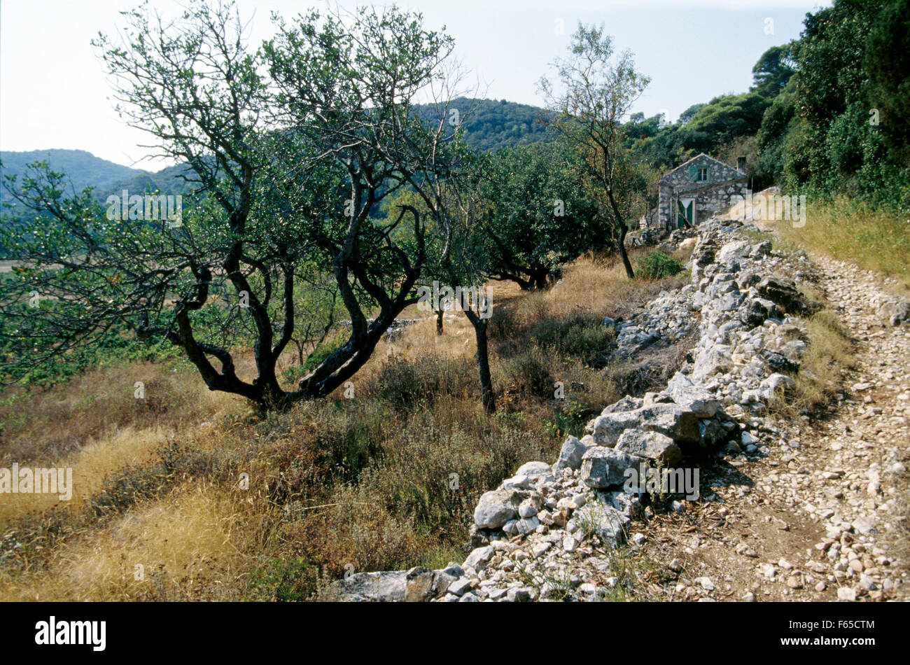 Rustico traccia di sporcizia sulla isola di Lastovo in Croazia Foto Stock